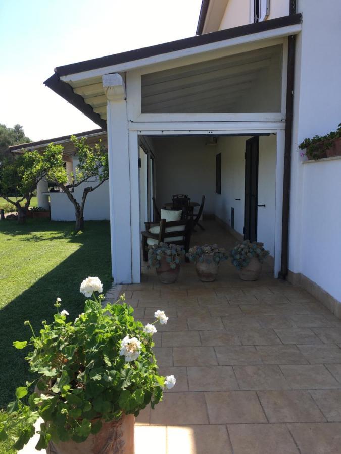 Villa Olga 타르퀴니아 외부 사진