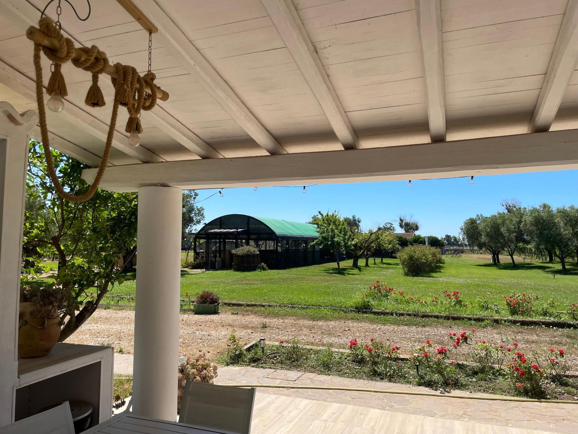 Villa Olga 타르퀴니아 외부 사진